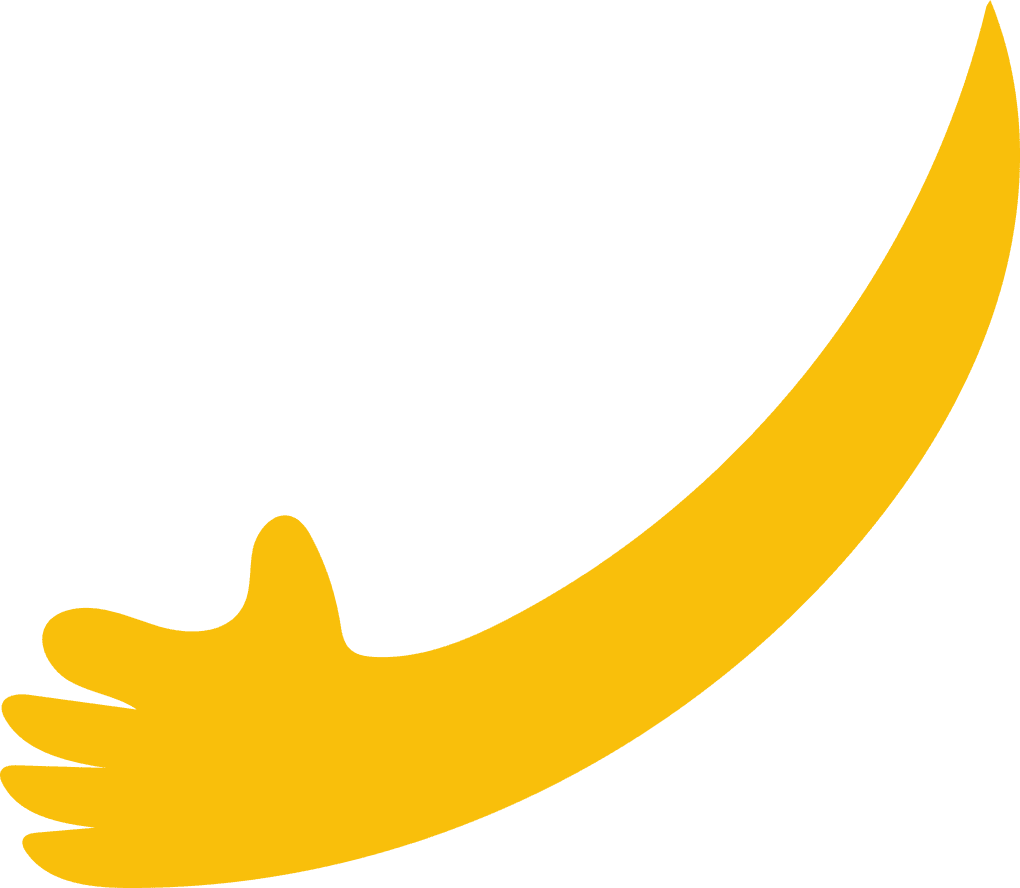 Hands